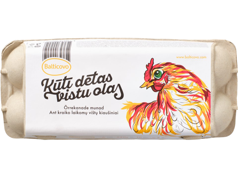 Kūtī dētas vistu olas iepakojumā ar vistas zīmējumu