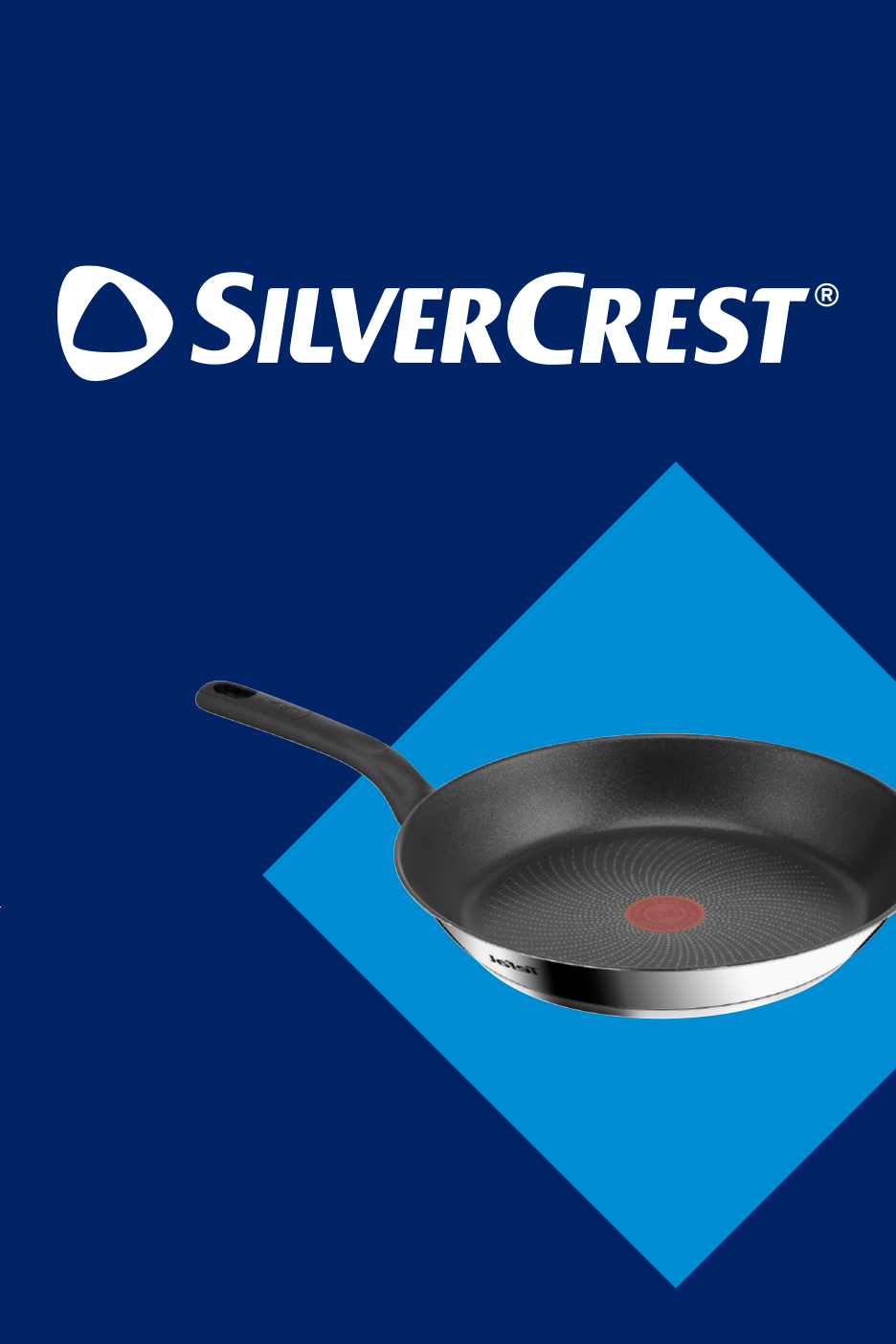 Panna uz zila fona ar ģeometriskām figūrām.