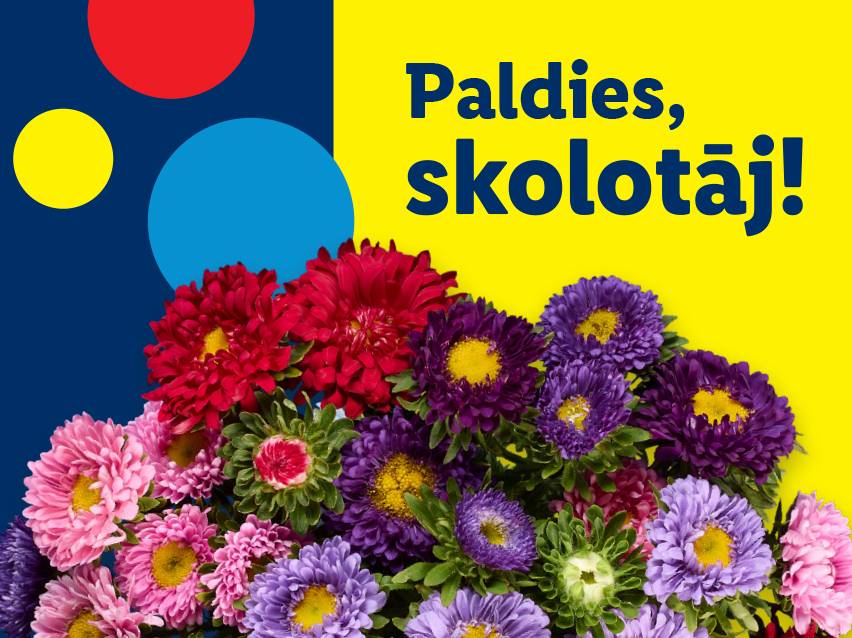 Daudzkrāsainu asteru pušķis uz zili-dzeltena fona ar uzrakstu «Paldies, skolotāj!»