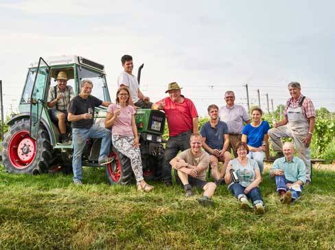 Cilvēku grupa, daži uz traktora un ap to, vīna dārzā.