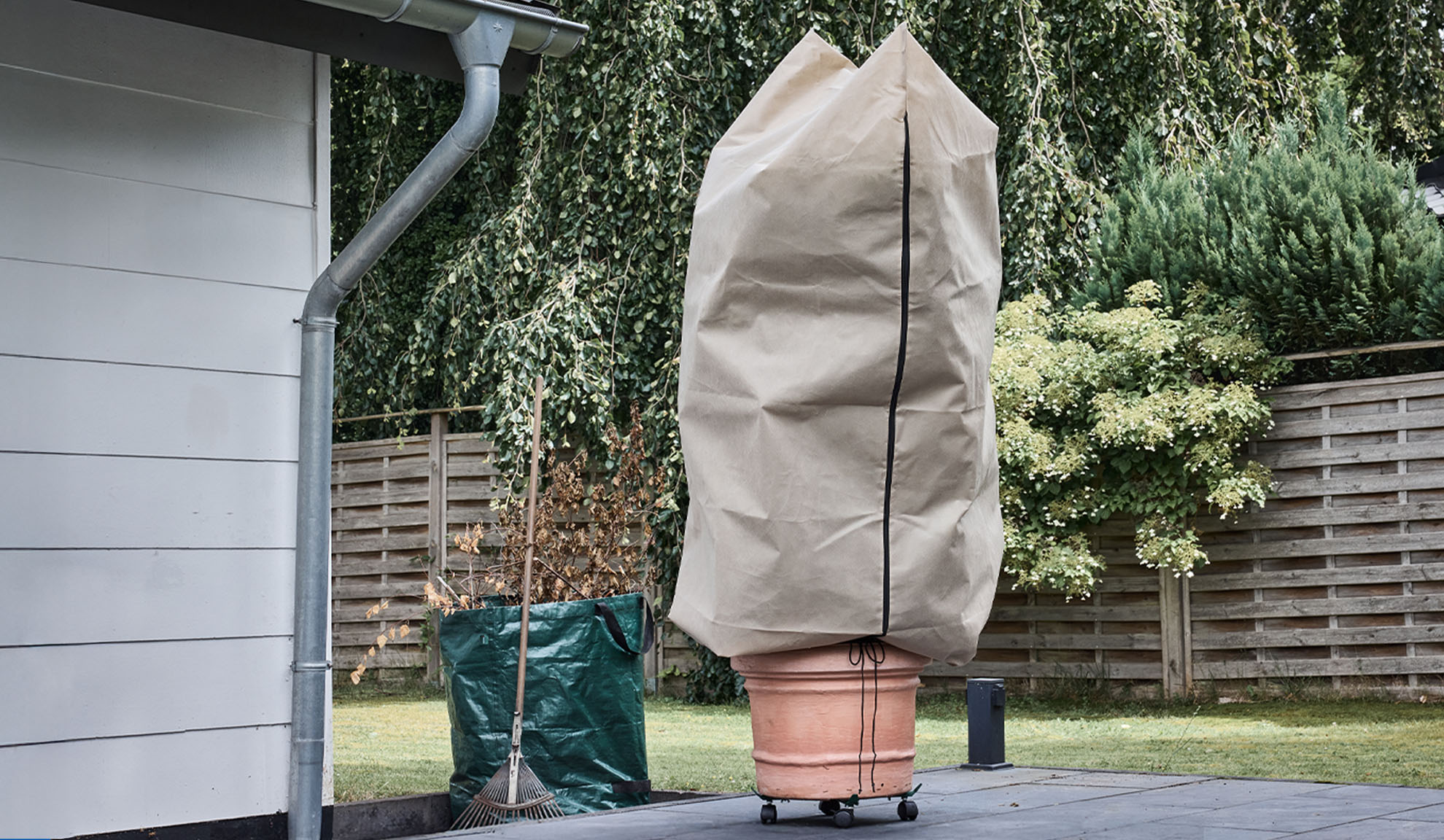 Augu pārsegs uz podā augoša auga terasē ar notekcauruli un grābekli.