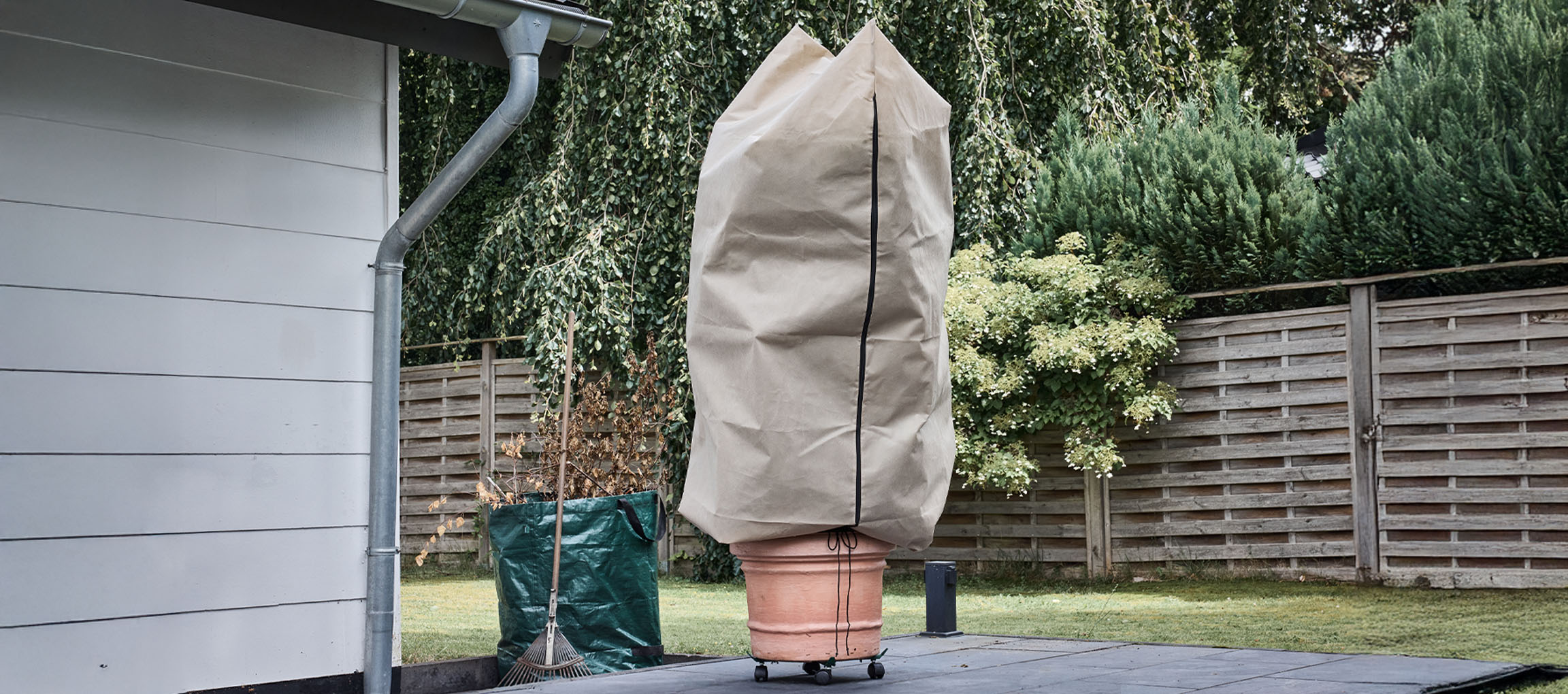 Podu augs ar ziemas aizsargpārklāju uz terases blakus mājai.