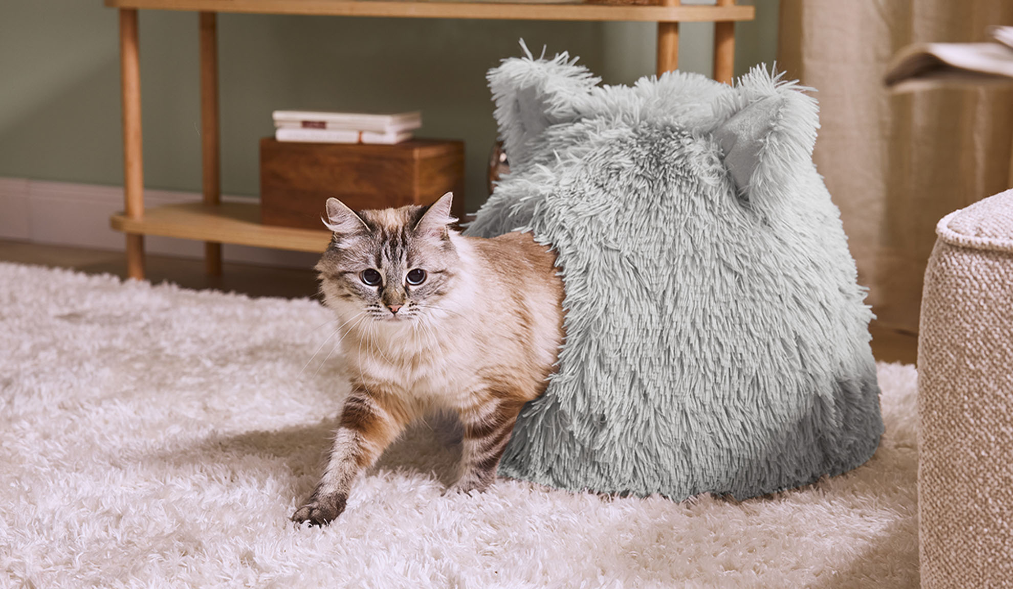 Кошка выходит из серой пушистой лежанки на белом ковре.